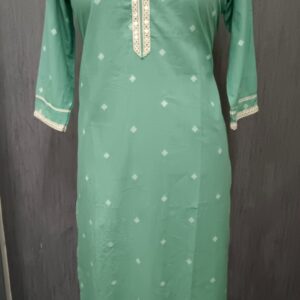 Pastel Green Mirror Trim Kurti